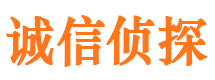 潞城市私家侦探